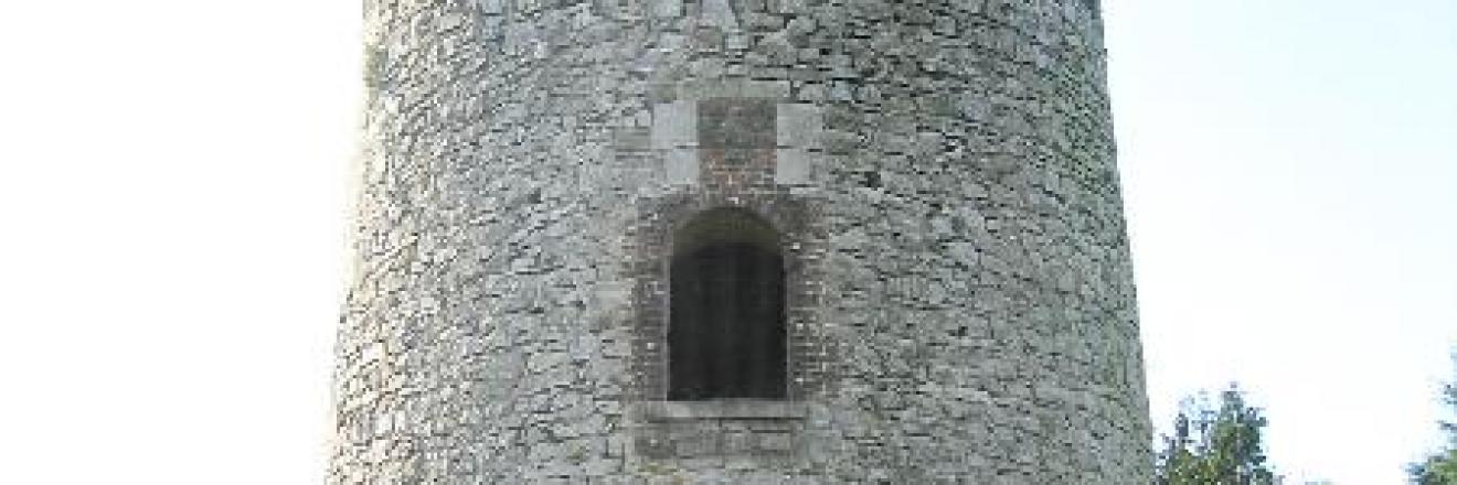 MOULIN DE LA PARAPETTE, MARPENT