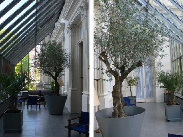 JARDIN D'HIVERS DU PREFET